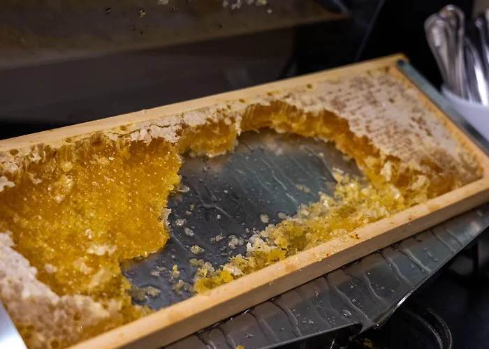 Hotel Ancora Verbania